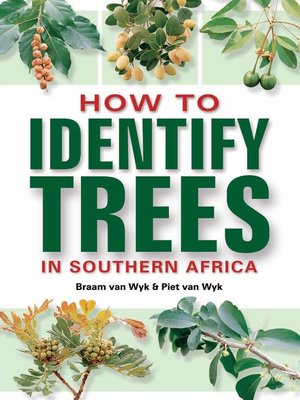cover image of How to Identify Trees in Southern Africa